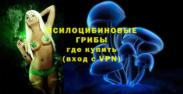 a pvp Беломорск
